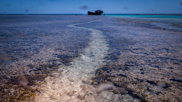 Looking dead flat at Heron Island.