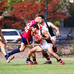 9-4-16. VAFA. Round one, 2016 Premier B season. AJAX defeated by Old Scotch. Photo: Peter Haskin