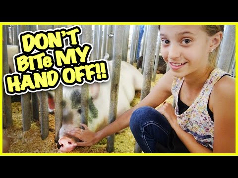 🐷FUN at the CARNIVAL🐷 RORY KISSES A BUNNY 🐰 FAMILY VLOG | SMELLY BELLY TV