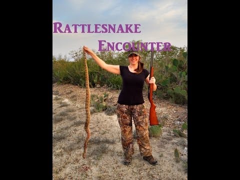 Rattlesnake Hunting in South Texas with .22 LR