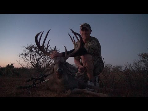 Bow Kill - 184" Monster South Texas Buck