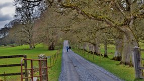 Castle Leslie Estate, Glaslough Co Monaghan (Pic: James Flanagan)