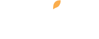 Wix Logo