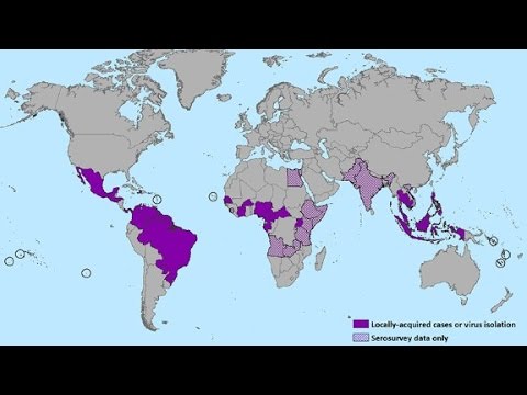 Will Zika virus spread to U.S.?