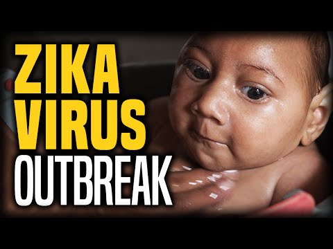 The Truth About The Zika Virus Outbreak