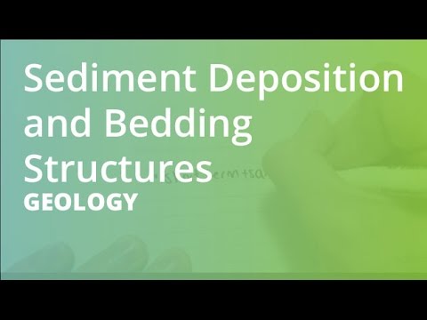 Sediment Deposition and Bedding Structures | Geology