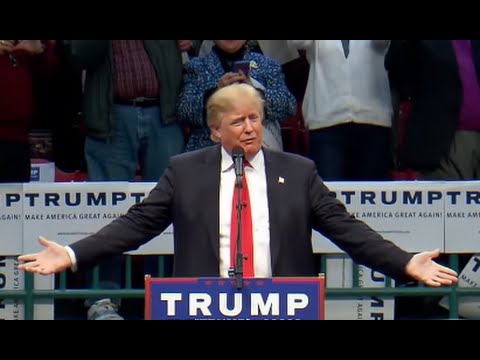 Donald Trump Addresses Hitler Comparison, Bloomberg, Polls