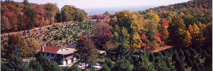 fall
                                                    view of farm