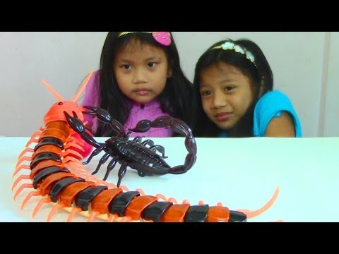 Innovation Scorpion and Giant Scolopendra Creepy Crawlers Toys