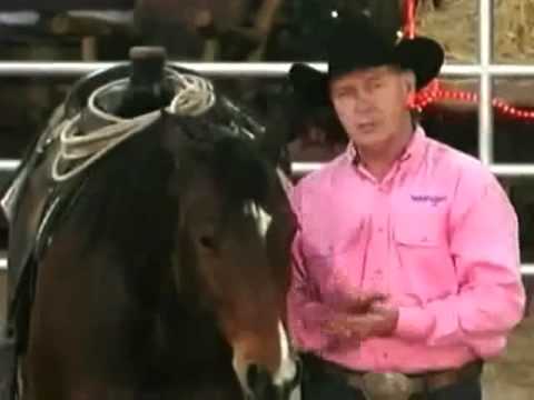 Horse Training with John Lyons - The Head Shy Horse