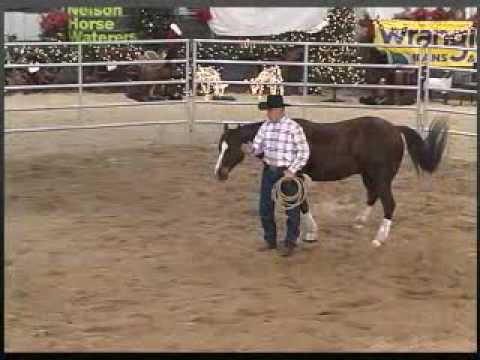 Round Pen Basics: Control