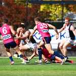 9-4-16. VAFA. Round one, 2016 Premier B season. AJAX defeated by Old Scotch. Photo: Peter Haskin