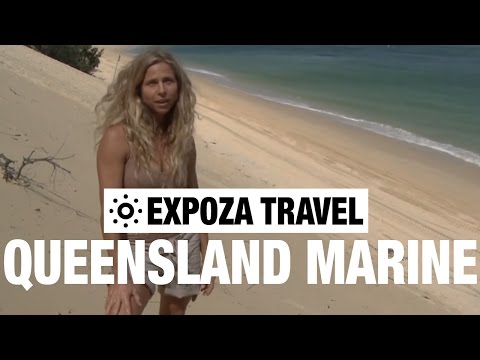 The Queensland Marine (Australia) Vacation Travel Wild Video Guide