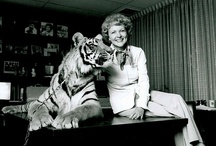 Betty White: Animal Lover / by Morris Animal Foundation