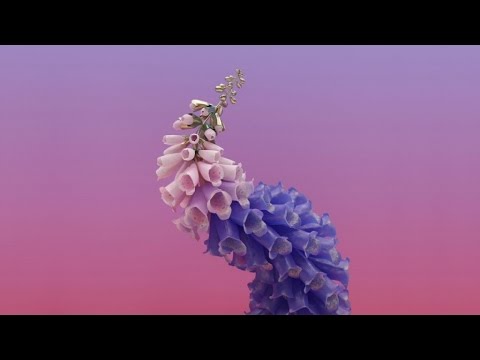 Flume - Wall Fuck