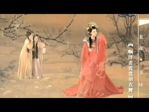 Traditional Chinese Music | Erhu | Blooming of Rainy Night Flowers