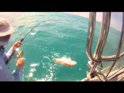 Fishing Wellesley Islands, Gulf of Carpentaria QLD