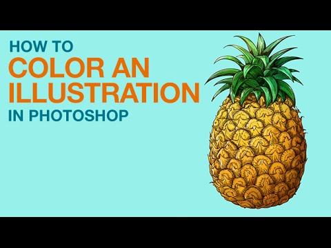 How to Color an Illustration in Photoshop