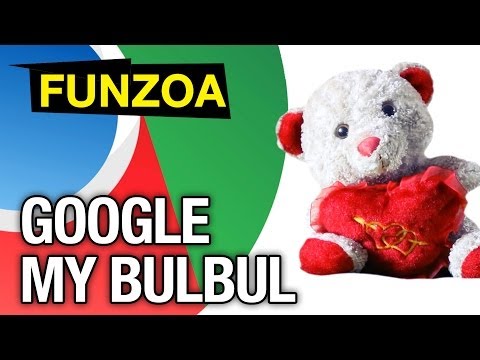 Google My Bulbul- Funny Google Song