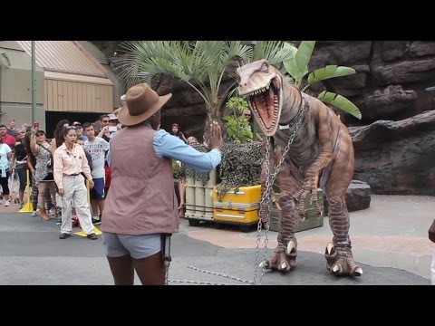 Meet a Raptor from Jurassic Park at Universal Studios Hollywood