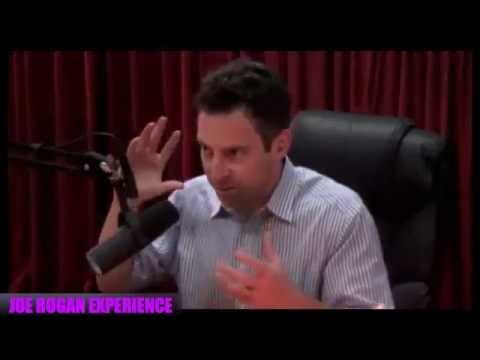 Sam Harris on Free Will (Joe Rogan Experience #543)