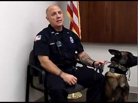 K-9 Police Officer, Career Video from drkit.org