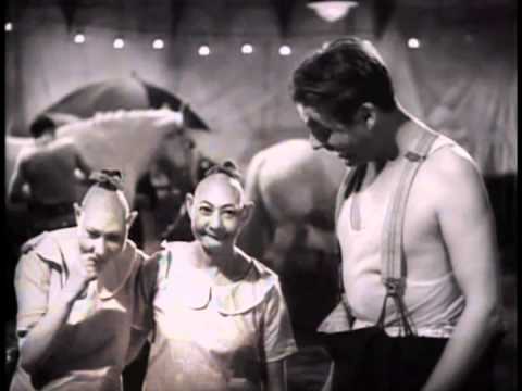 Freaks 1932 Highlights