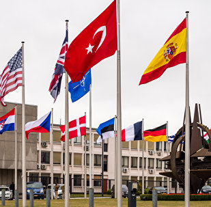 NATO country flags wave outside NATO headquarters in Brussels on Tuesday July 28, 2015