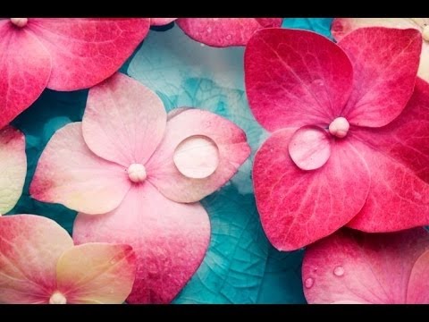 6 Hour Relaxing Spa Music: Massage Music, Calming Music, Meditation Music, Relaxation Music ☯2588