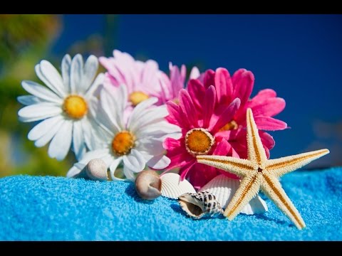 6 Hour Super Relaxing Spa Music: Massage Music, Background Music, Relaxing Music ☯469