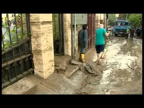 BBC WORLD NEWS - Animals escape from zoo in Tbilisi, Georgia.