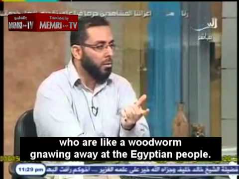 Sunni-Shiite Debate Deteriorates into a Brawl on Egyptian TV