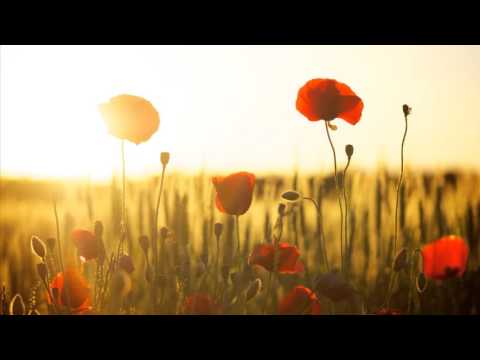 Relaxing Piano Music. Healing Music for Study, Concentration, Stress Relief, Mind Relaxation