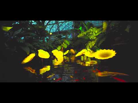 4K: BIOMES at the Garfield Park Conservatory