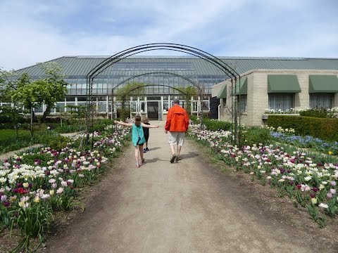 Chicago's Garfield Park Conservatory - Free Fun for All Ages