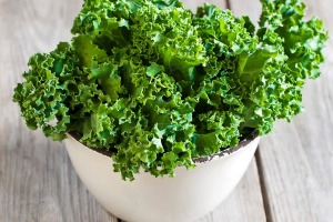 Kale: healthy or nutritious?