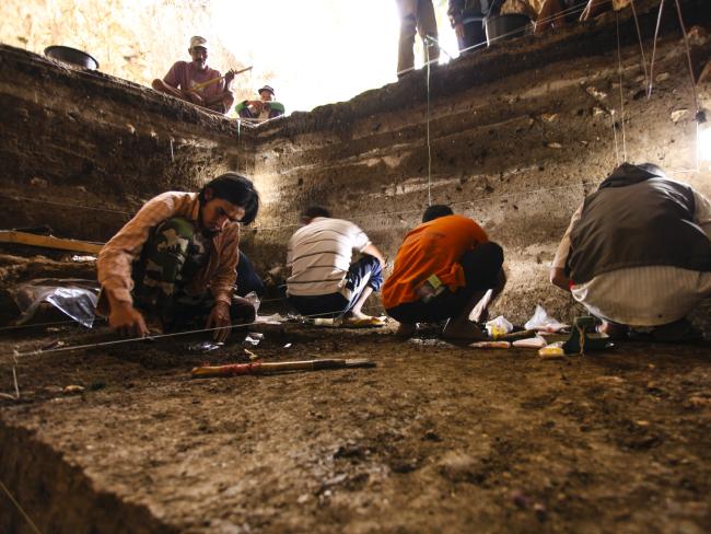 Archaeological excavations of Holocene deposits at Liang Bua are conducted on the Indonesian island of Flores. These sediments contain skeletal and behavioural evidence of modern humans and ‘Hobbits’. (Homo sapiens). Source: Liang Bua Team via AP