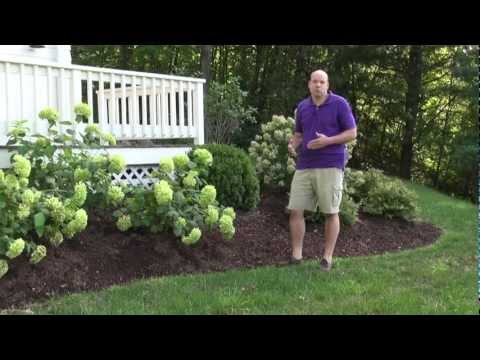 Front Yard Landscape Design Ideas - Trumbull CT Landscape Designer