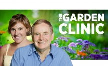 The Garden Clinic