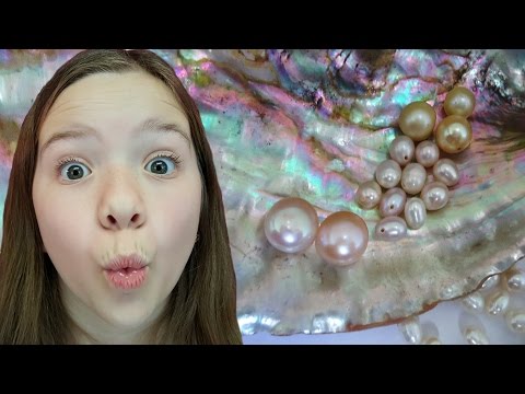 Finding pearls in oysters! | Life With Jillian & Addie | Babyteeth4