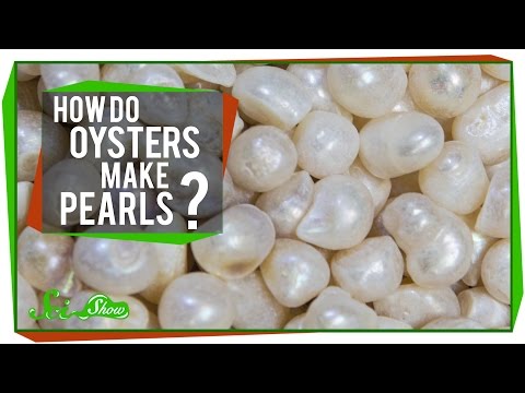 How Do Oysters Make Pearls?