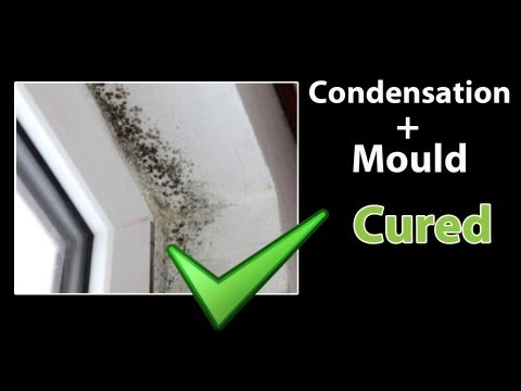 EASY - How to STOP CONDENSATION - Get Rid of Black Mold and Clean Mould