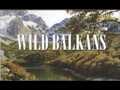 Wild Balkan || HD National Geographic Documentary