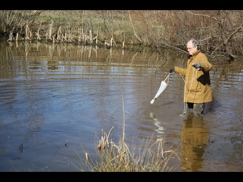 Environmental Biologist - Cool Jobs