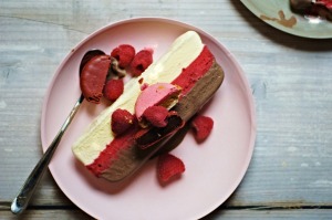 Chocolate, raspberry, vanilla coconut and macaron ice cream cake