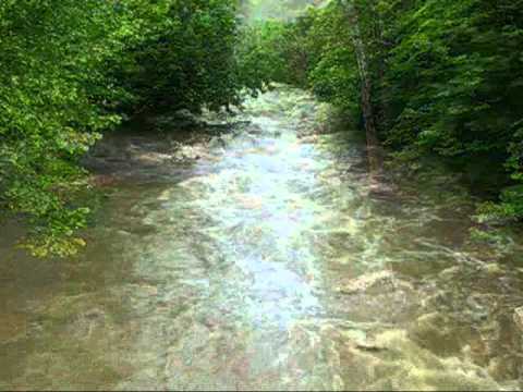 Bushkill Creek | Tatamy, Pennsylvania | baseflow/stormflow