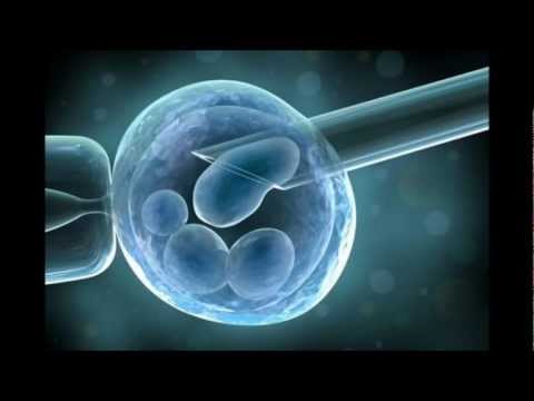 Genotype and Phenotype