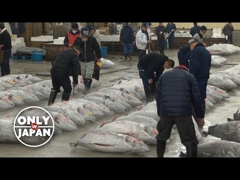 Tsukiji Fish Market Guide: Tuna Auction and Breakfast Odyssey ★ WAO✦RYU!TV ONLY IN JAPAN #27 築地市場潜入