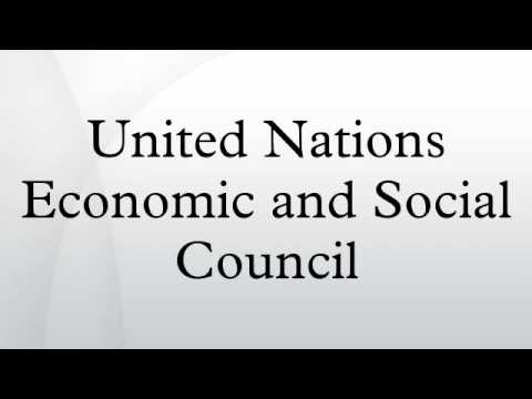 United Nations Economic and Social Council