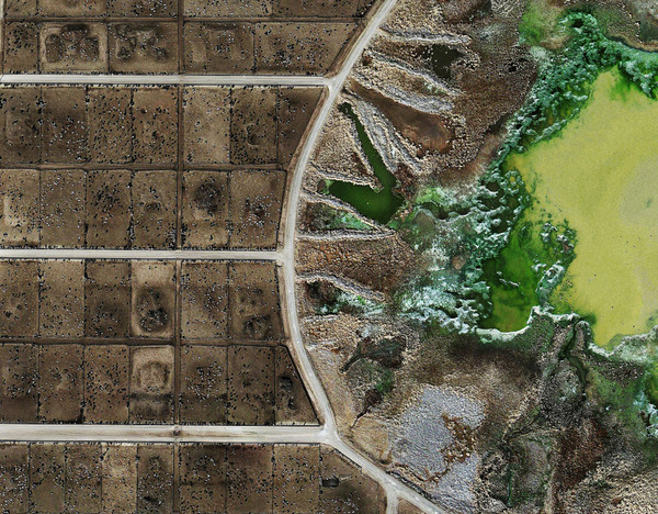 Tascosa Feedyard, Texas (detail) (Mishka Henner, 2013)